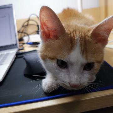 已注销于2019-05-10 17:45发布的图片