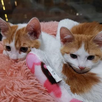 已注销于2019-05-10 17:45发布的图片