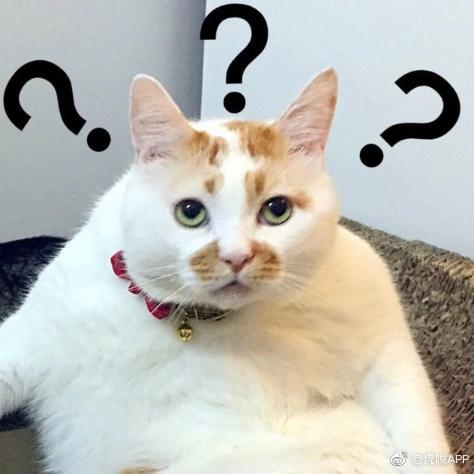 NeXT于2019-05-12 14:51发布的图片