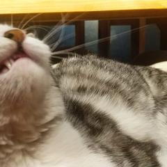 树洞robot于2019-05-12 16:14发布的图片