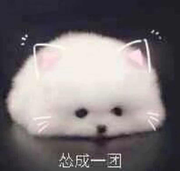 买不起索尼的个人资料头像