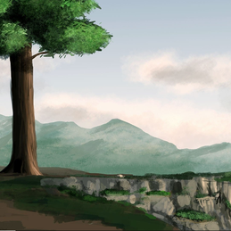 kora于2019-05-14 09:18发布的图片