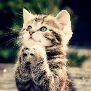 EXSVAMP的个人资料头像