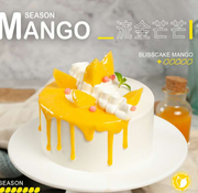 Mimio的个人资料头像