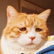 苏瑾诺的个人资料头像