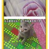 苦茶丶清浅于2019-05-14 17:29发布的图片