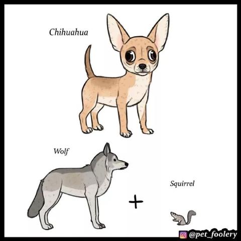 Hodmin于2019-05-14 18:29发布的图片