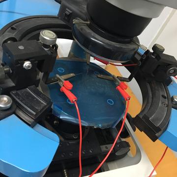 Saint41455于2019-05-15 18:06发布的图片