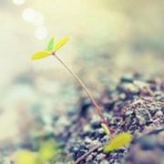 暮流夕下的个人资料头像