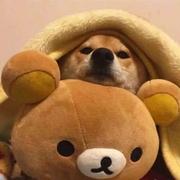 小可爱的啦的个人资料头像