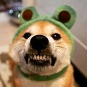 杨较瘦长胖了的个人资料头像