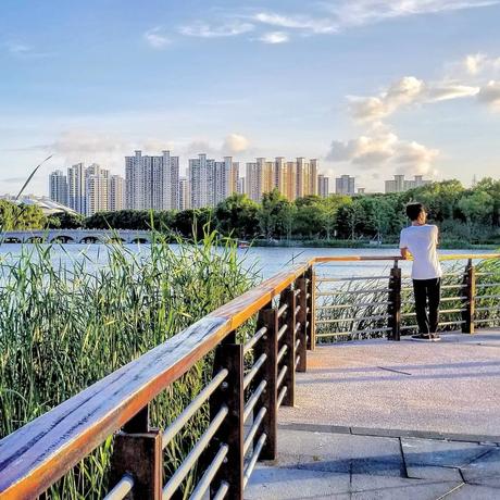 阮一峰推特更新于2019-05-17 11:32发布的图片