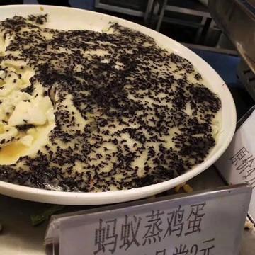 fingdo于2019-05-17 13:52发布的图片