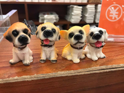 迷途小生的个人资料头像