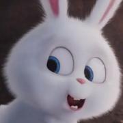 起名真是难的个人资料头像