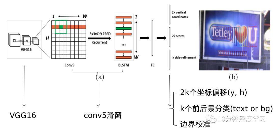 具体网络结构