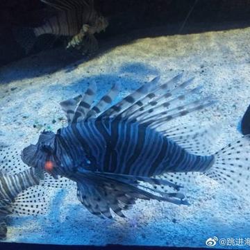 跳进海里躲雨T于2019-05-18 23:06发布的图片