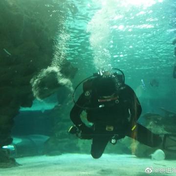跳进海里躲雨T于2019-05-18 23:06发布的图片