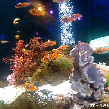 跳进海里躲雨T于2019-05-18 23:06发布的图片