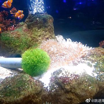 跳进海里躲雨T于2019-05-18 23:06发布的图片