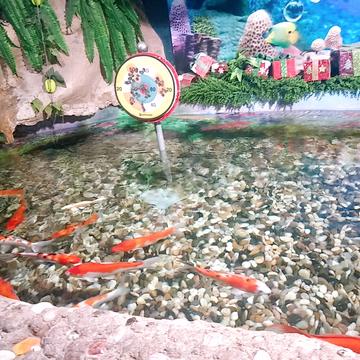 跳进海里躲雨T于2019-05-18 23:13发布的图片