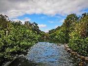 Jiaman的个人资料头像