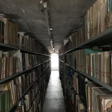 0xinhua于2019-05-02 16:54发布的图片