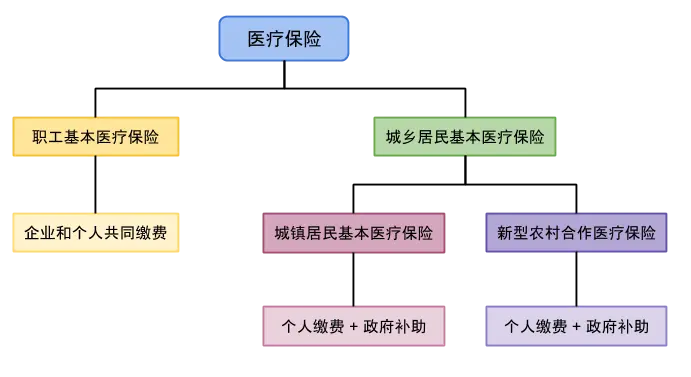 医疗保险分类