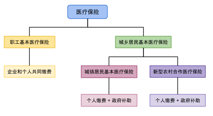 医疗保险分类