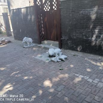 carry_code于2019-05-21 09:53发布的图片