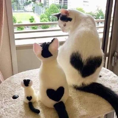 程序员趣事于2019-05-21 11:40发布的图片