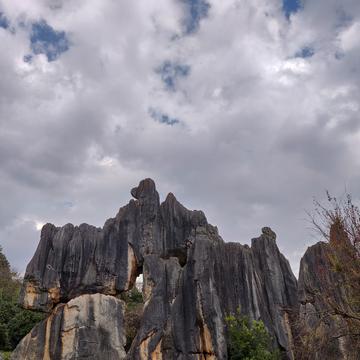在小河边唱着歌于2019-05-21 18:35发布的图片