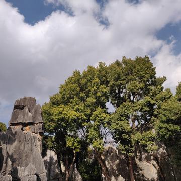 在小河边唱着歌于2019-05-21 18:35发布的图片