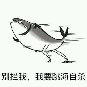 Gaoti于2019-05-21 21:05发布的图片