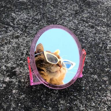 程序员鼓励喵于2019-05-22 08:38发布的图片