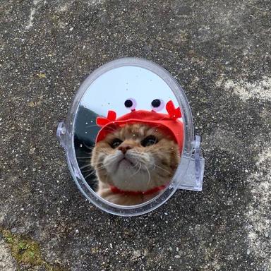 程序员鼓励喵于2019-05-22 08:38发布的图片