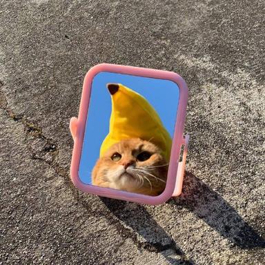 程序员鼓励喵于2019-05-22 08:38发布的图片