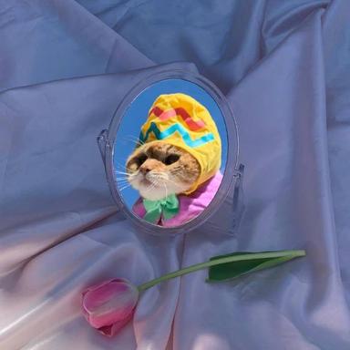 程序员鼓励喵于2019-05-22 08:38发布的图片