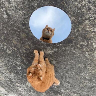 程序员鼓励喵于2019-05-22 08:38发布的图片