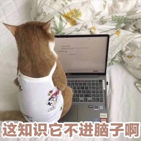 在小河边唱着歌于2019-05-22 13:36发布的图片