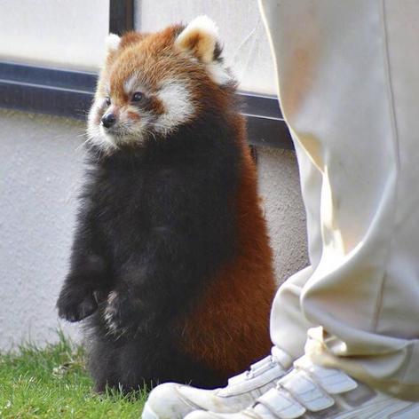 Fancy7于2019-05-22 17:42发布的图片