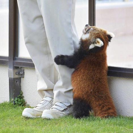 Fancy7于2019-05-22 17:42发布的图片