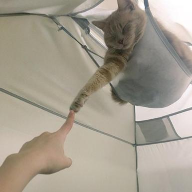 程序员鼓励喵于2019-05-22 19:02发布的图片