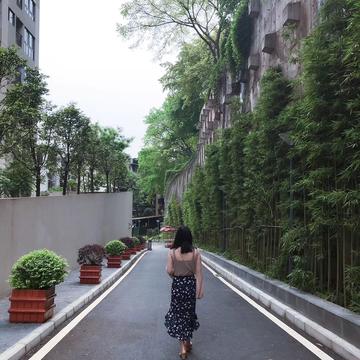 Amoney于2019-05-23 11:40发布的图片