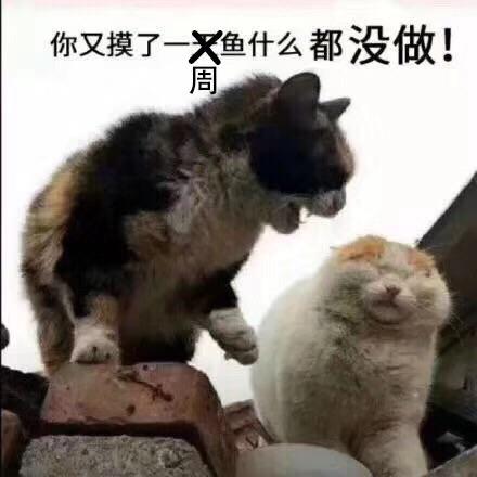 肉包丫于2019-05-23 17:26发布的图片