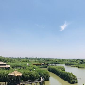 Faith79于2019-05-24 15:23发布的图片