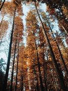 appx70658的个人资料头像