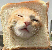 CodeMonkeyBlala的个人资料头像