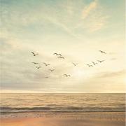 码出高效面试的程序媛的个人资料头像