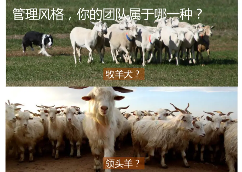 屏幕快照 2019-05-24 上午10.44.45.png